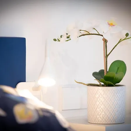 La Gringa Centro Ii Obra Nueva Con Posibilidad De Parking 希洪