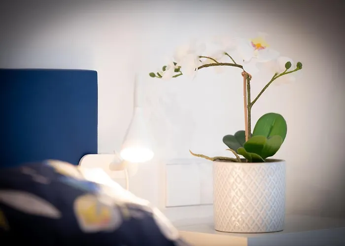 La Gringa Centro Ii Obra Nueva Con Posibilidad De Parking Gijón